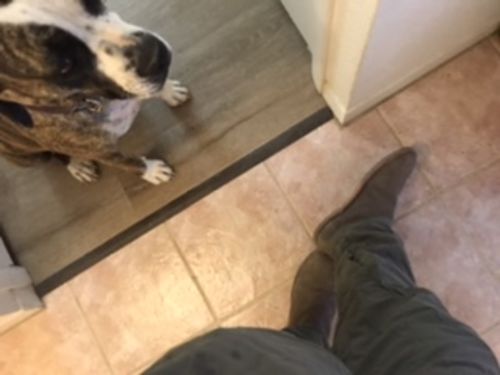 Customer photo review of Baxter - Natural Brown