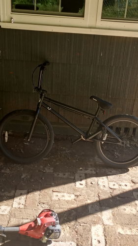 Customer photo review of Defendant Pro BMX Bike - 22"
