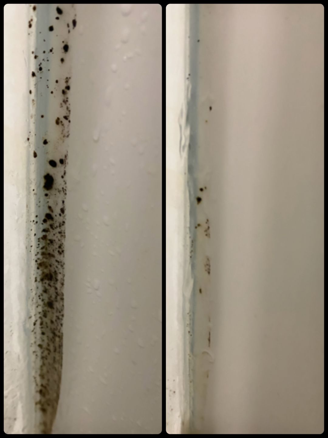 Customer photo review of Gong100 Mold Remover Gel