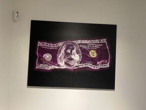 Customer photo review of Tableau Purple Dollar Money