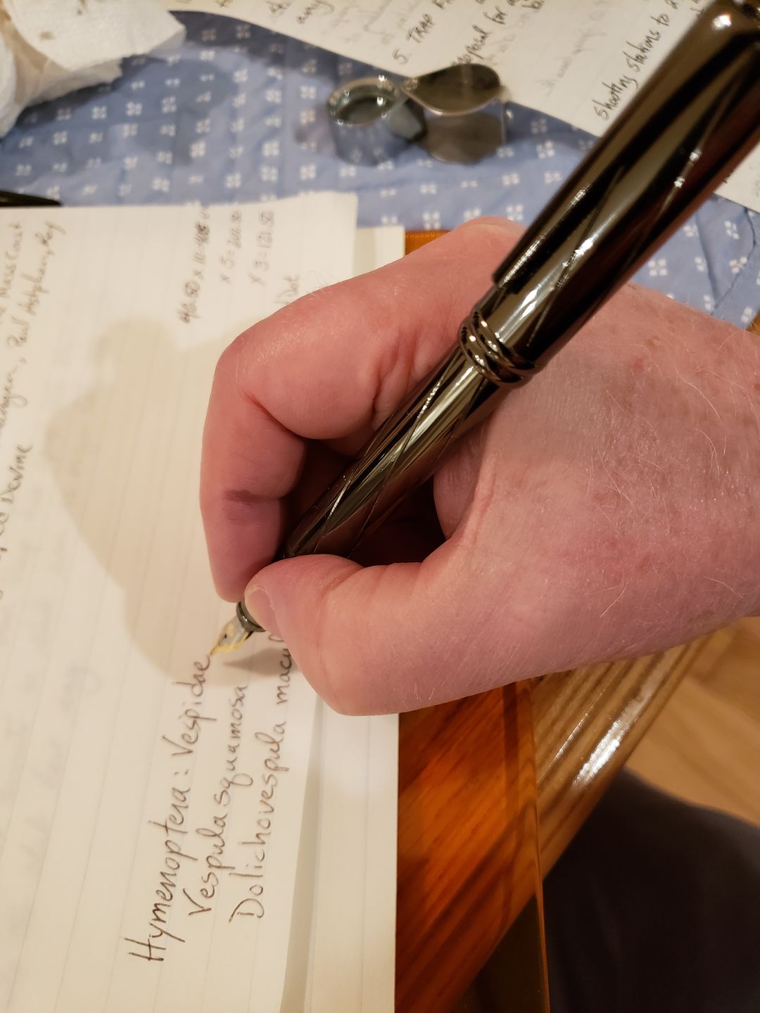 Customer photo review of The Nebula Optima