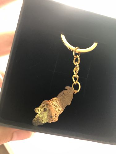 Customer photo review of Silvercut™ Keychain