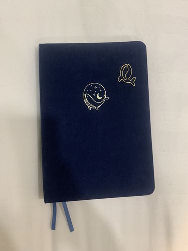 Customer photo review of Tsuki 'Gentle Giant' Limited Edition Bullet Journal ☾