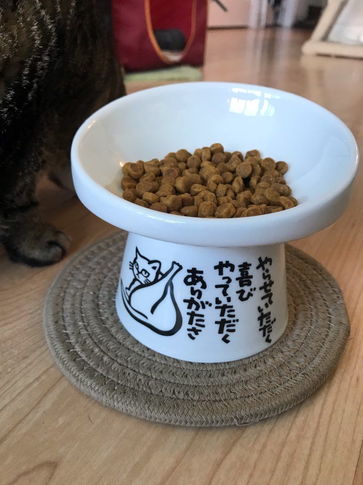 Customer photo review of Neko Raised Bowls