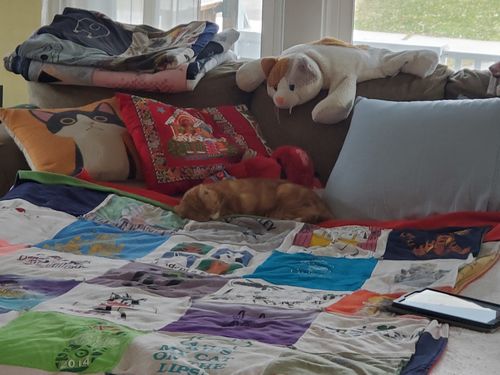 T-shirt quilt by krista from NY