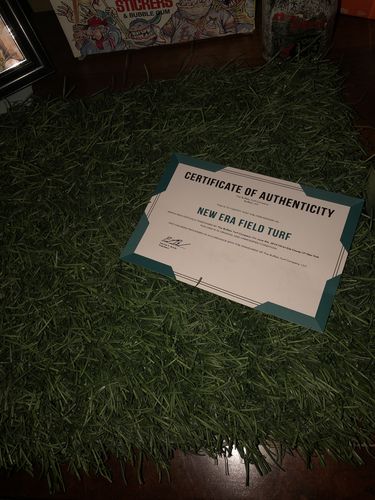 Customer photo review of Field Turf