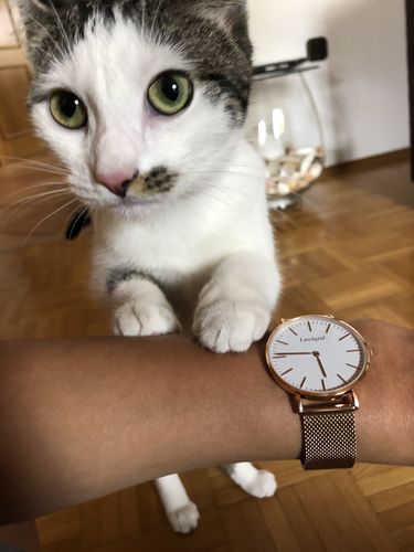Customer photo review of California Edition Limited