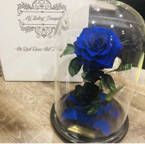 Customer photo review of A Lasting Bélle