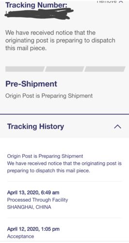 Customer photo review of CASTELLI ALPHA ROS JERSEY MAN 2018 ORANGE/BLACK