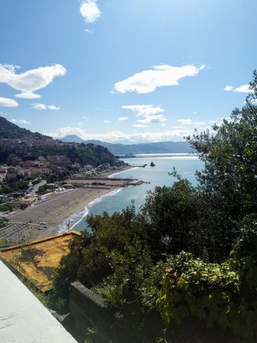 Customer photo review of 3 Conf. Artro