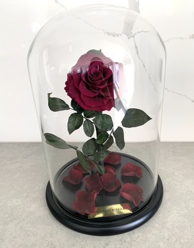 Customer photo review of A Lasting Bélle