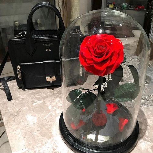 Customer photo review of A Lasting Bélle