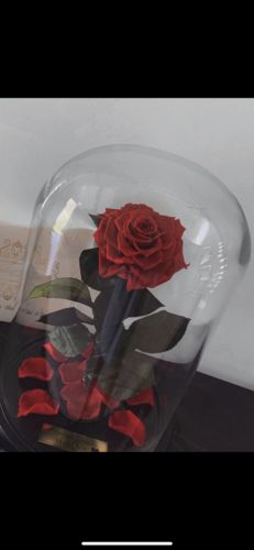 Customer photo review of A Lasting Bélle