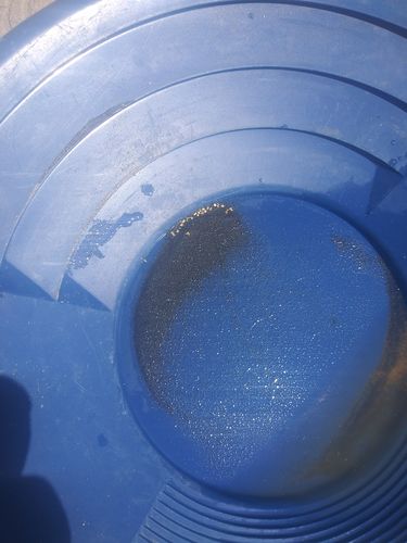 Customer photo review of *NEW*: 2020 JACKPOT 'Bonanza' - Gold Paydirt Concentrate - Panning Pay Dirt Bag