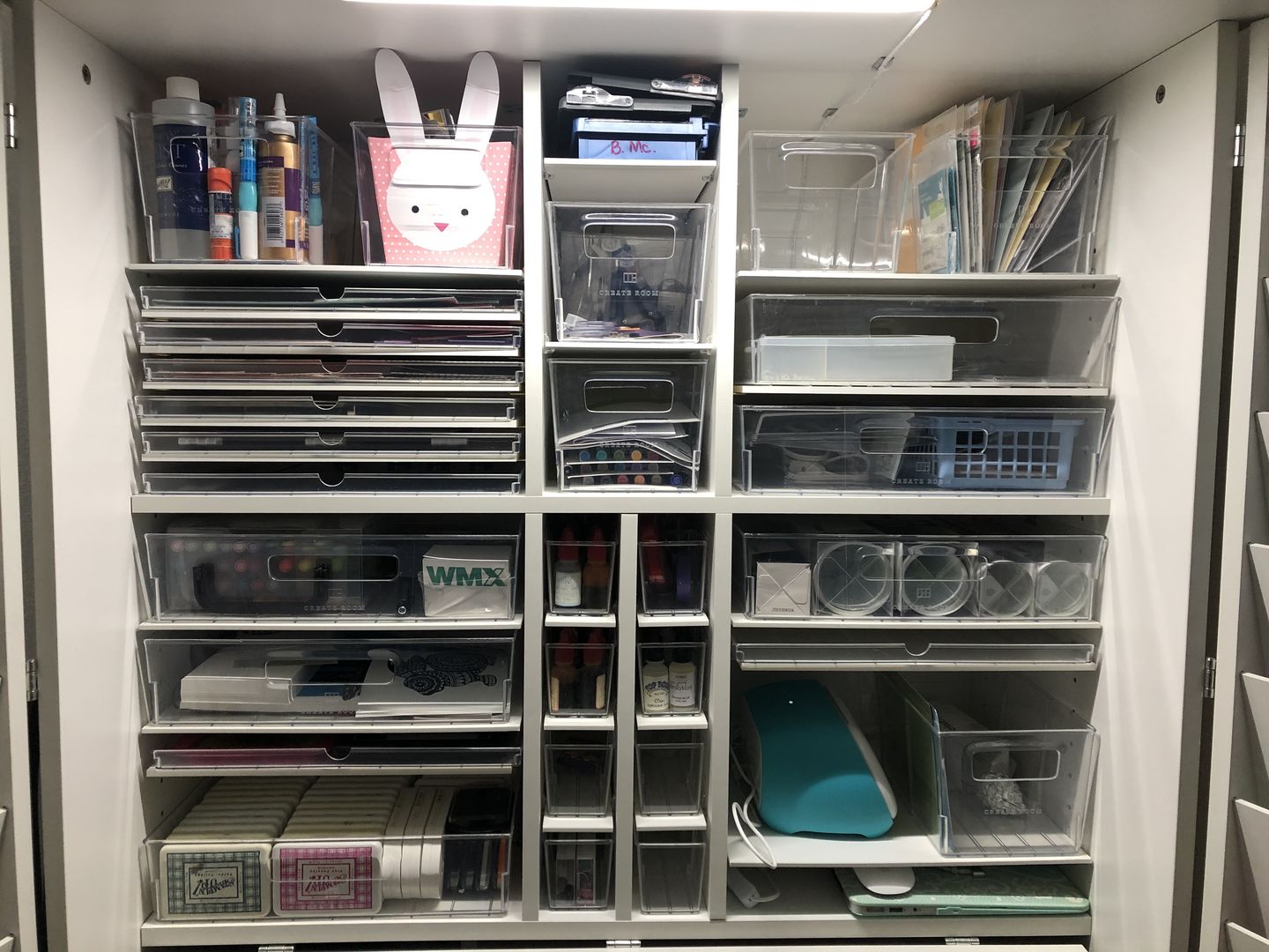 Customer photo review of 8 Shallow InView™ Totes
