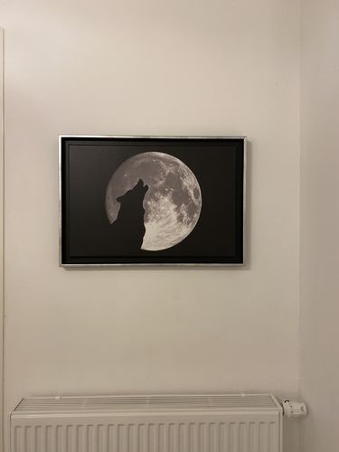 Customer photo review of Tableau Loup Clair De Lune