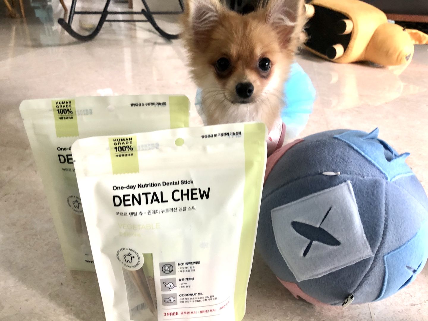 Customer photo review of arrr Dental Chew