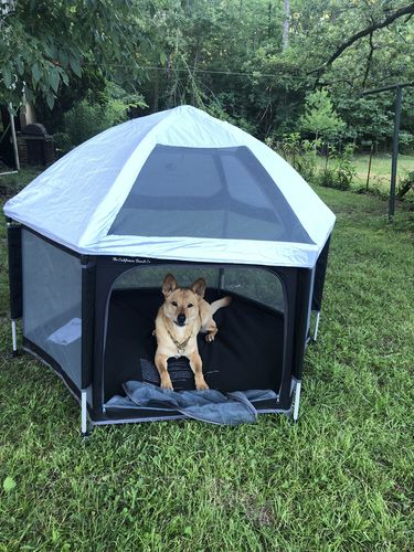 Customer photo review of Pop N' Go® Playpen