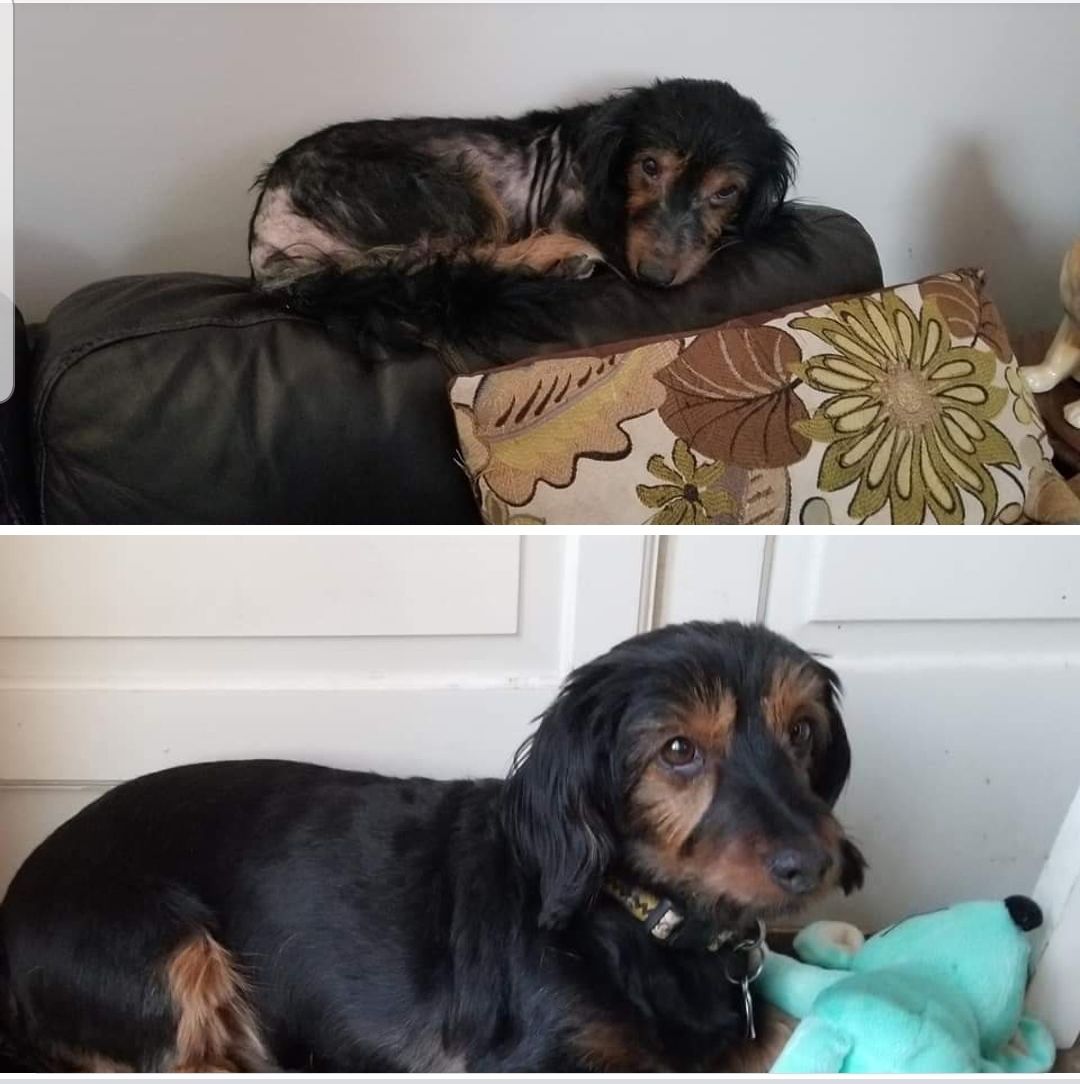 Customer photo review of Oatmeal Aloe Shampoo