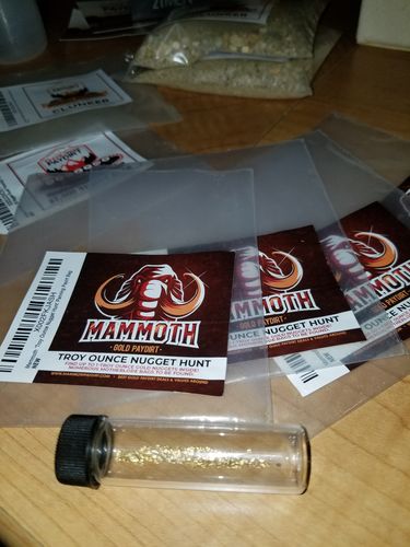 Customer photo review of *BOGO*: MAMMOTH 'TROY OUNCE NUGGET HUNT' Gold Paydirt - Gold Paydirt Concentrate