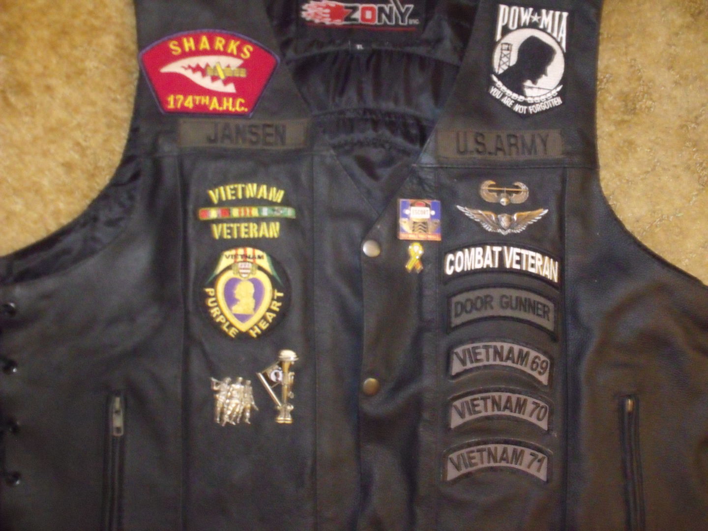 Customer photo review of Vietnam Veteran Pin