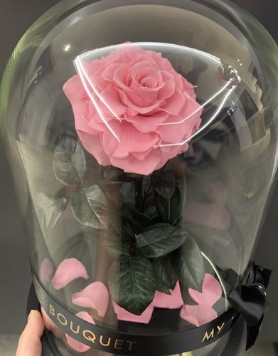 Customer photo review of A Lasting Bélle