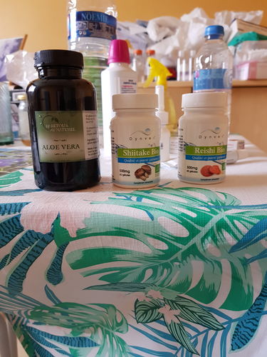 Customer photo review of SHIITAKE BIO