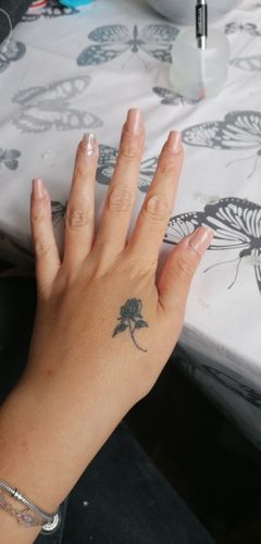 Customer photo review of Poly Gel Varnish Nail Kit