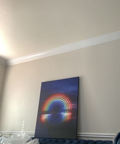 Customer photo review of Neon Hope Canvas Set