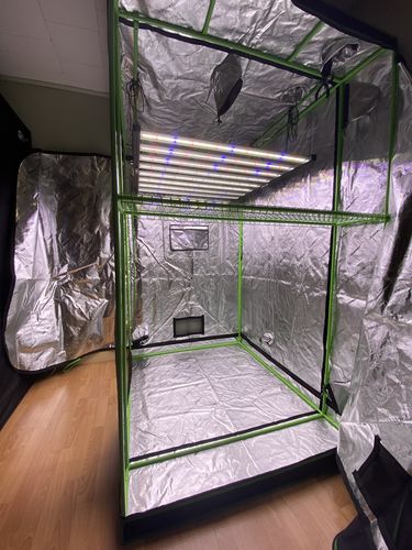 Customer photo review of Slim 600H Dimmable LED Grow Light 600w (120 Degree) 3500k