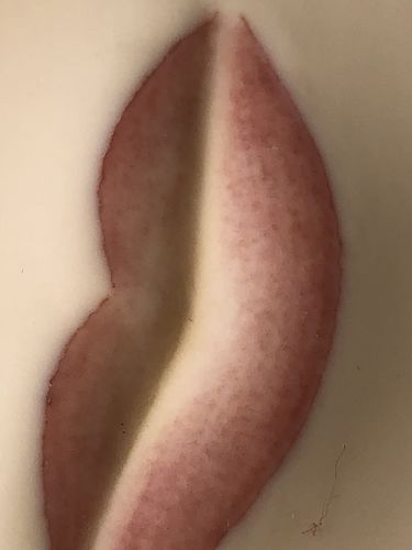 Customer photo review of Rose Lip Pigment