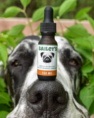 Customer photo review of Bailey's Full Spectrum Hemp Oil For Dogs w/ 150MG Naturally Occurring CBD