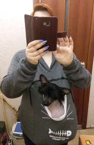 Customer photo review of Pet Carrier Hoodie