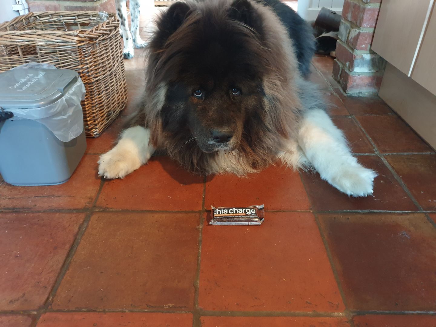 Customer photo review of Jaffa Cake Protein Crispy Bar 10 x 60g