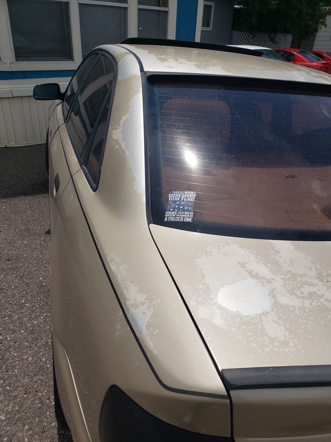 Customer photo review of Those Who Disrespect Our Flag Have Never Been Handed A Folded One 4" Decal