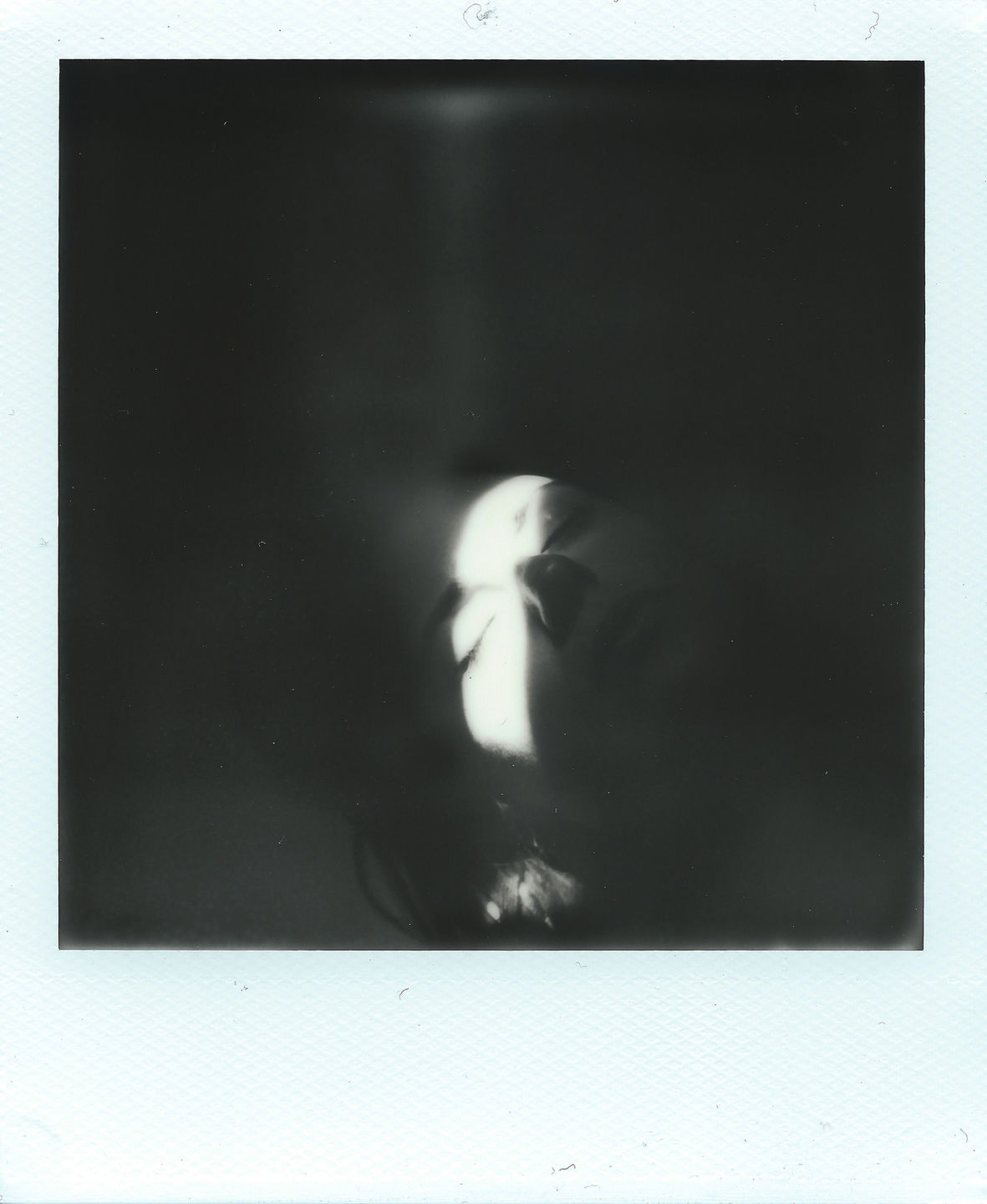 Customer photo review of Polaroid B&W SX-70 Instant Film