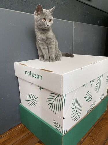 Customer photo review of Collect & Compost Service with Kit