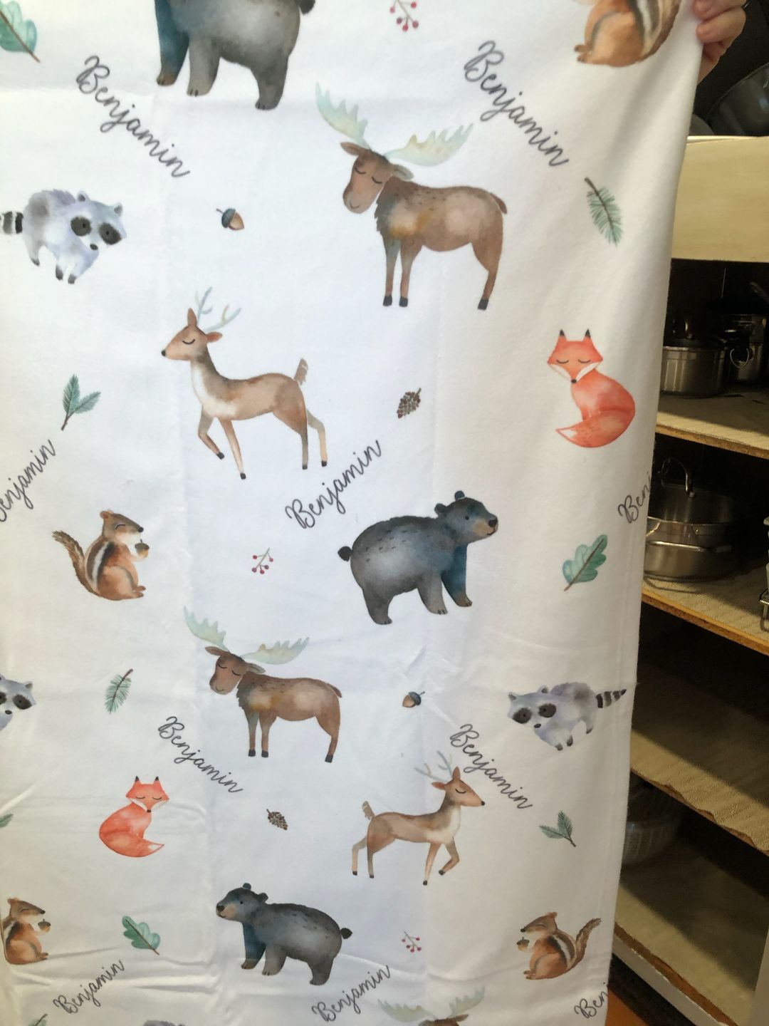 Customer photo review of Woodland Animals Personalized Baby Blanket