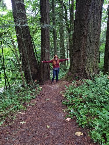 Customer photo review of Route Package Protection