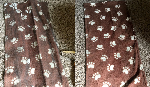 Customer photo review of Lint and Pet Hair Remover Brush