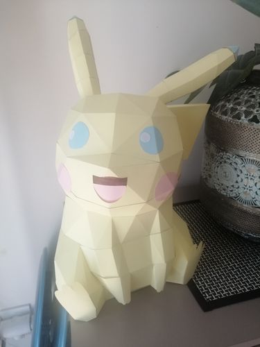 Customer photo review of Pikachu
