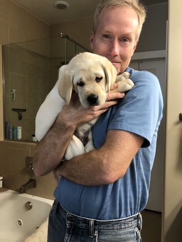 Customer photo review of Irish Setter by Red Wing Men's Ashby Soft Toe 6-inch Lace-Up Boots 83605