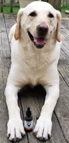 Customer photo review of Bailey's Full Spectrum Hemp Oil For Dogs w/ 300MG Naturally Occurring CBD