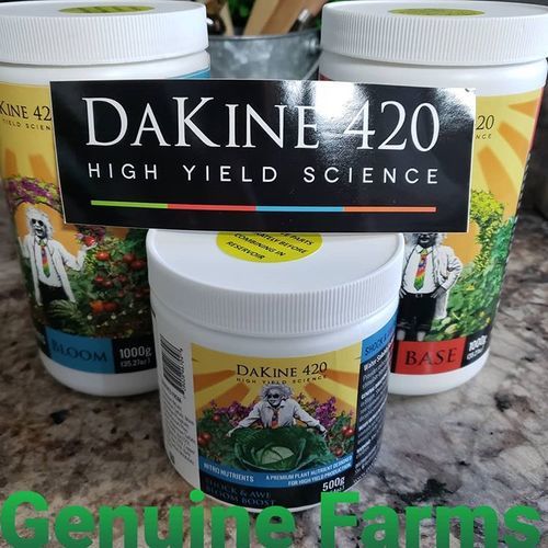 Image submitted with review