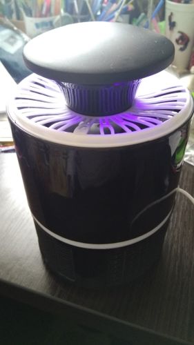 Customer photo review of MugSchok™ | De nummer 1 muggen lamp
