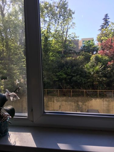 Customer photo review of Magnetic Window Glass Cleaner