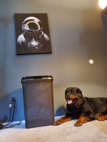 Customer photo review of Above the Clouds Canvas Set