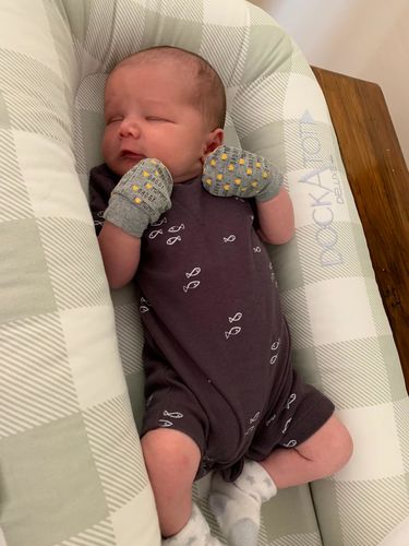 dockatot natural buffalo