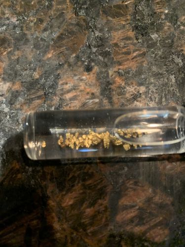 Customer photo review of *New* MAMMOTH 'TROY OUNCE NUGGET HUNT' Gold Paydirt - Gold Paydirt Concentrate