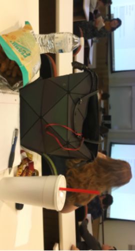 Customer photo review of Holumex Prisma Flex Bag